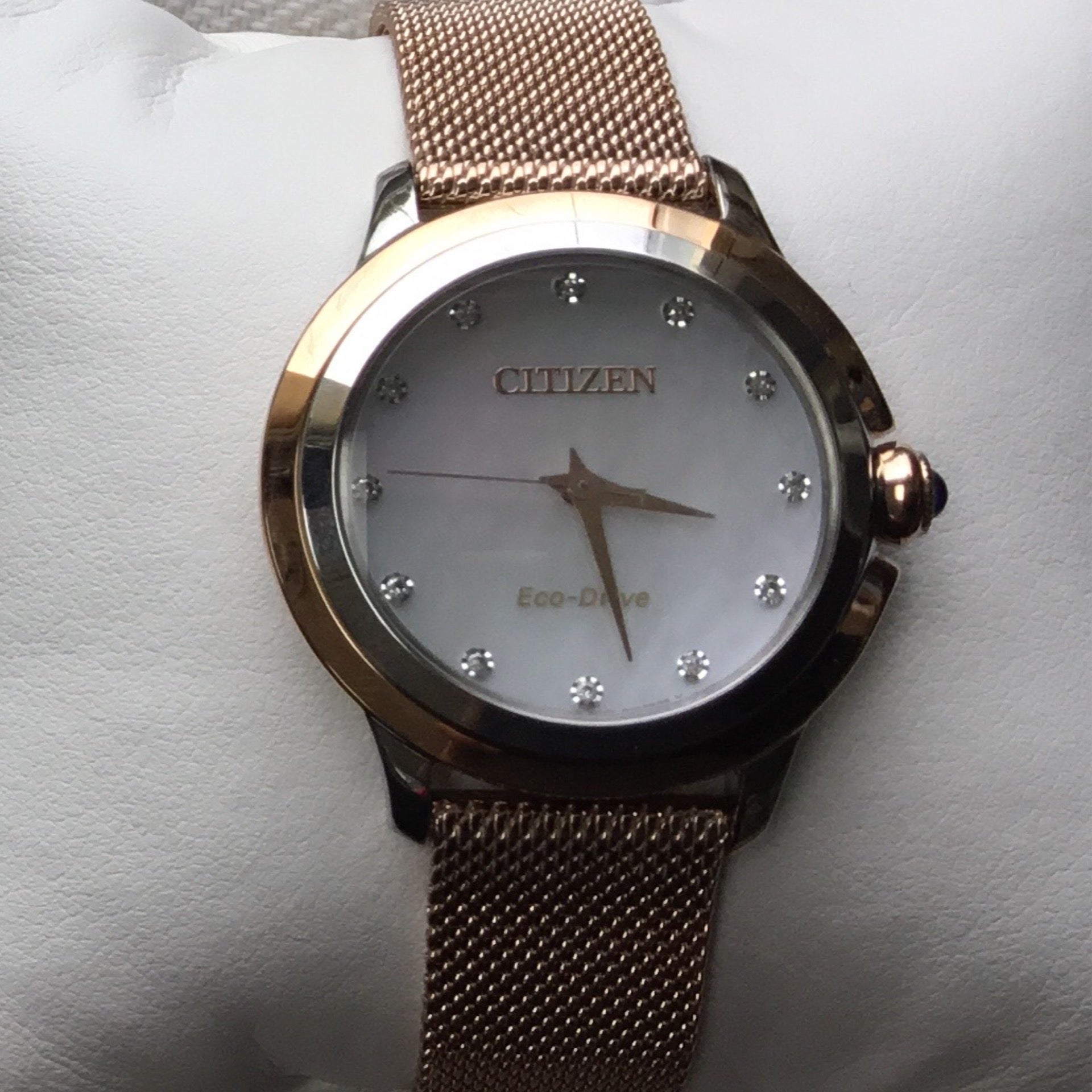 Citizen ceci sale
